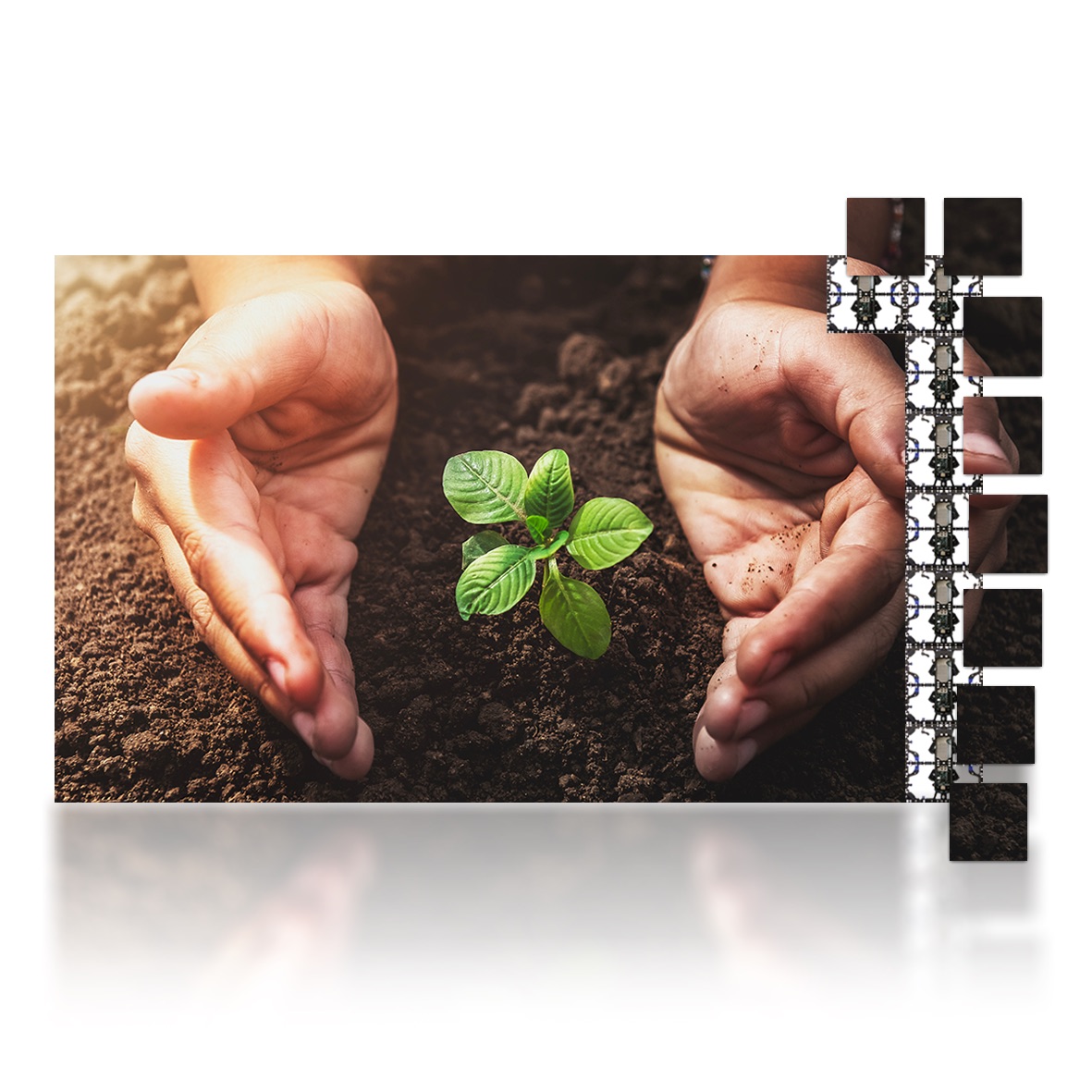 266″ LUMINA 500 LED Display 2.6mm Video Wall Bundle – W19.7’ x H11.5’ LED Screen – W6.0m x H3.5m Complete Display Package for Church, Bar, Events, School and Virtual Production. HDMI Input