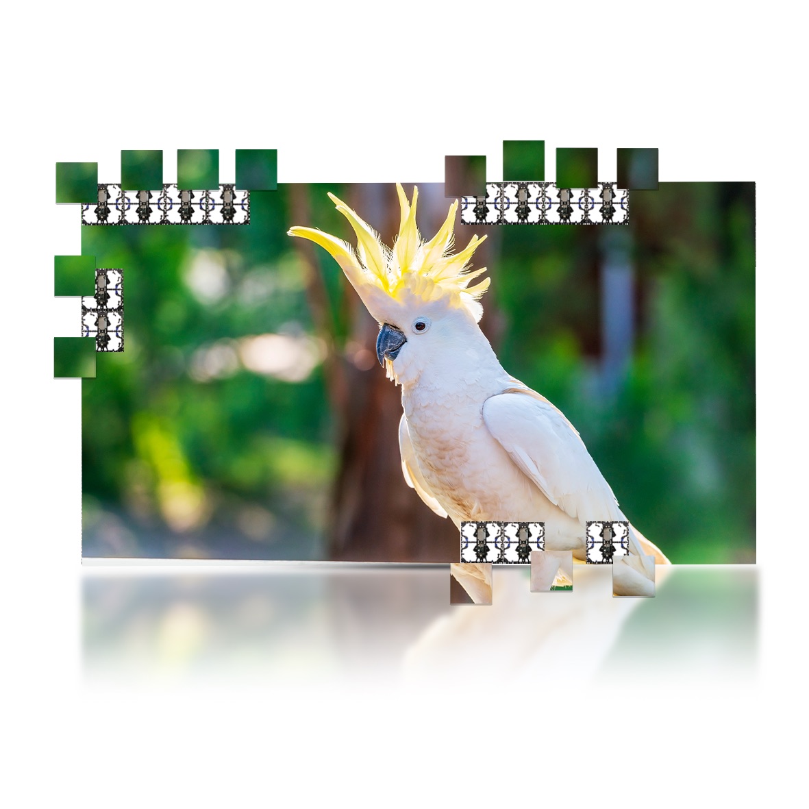 360” LUMINA 500 LED Display 1.5mm Video Wall Bundle – W26.2’ x H14.7’ LED Screen – W8.0m x H4.5m Complete Display Package for Church, Bar, Events, School and Virtual Production. HDMI Input